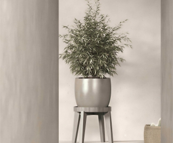 Modern Potted Green Plant-ID:575289968