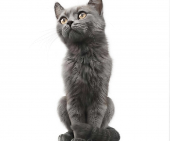 Modern Animal Cat-ID:403177021