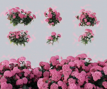Modern Flowers And Grass-ID:291136984