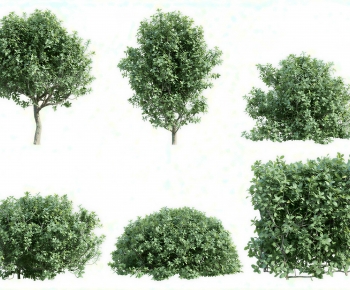 Modern Shrubbery-ID:407300095