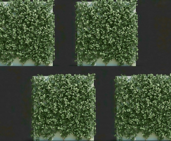 Modern Plant Wall-ID:877245901