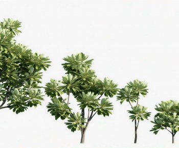 Modern Tree-ID:709469084