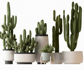 Modern Ground Green Plant Potted Plants-ID:106462001