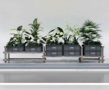 Modern Flower Bed, Flower Bowl, Flower Box-ID:295236114