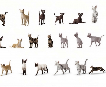 Modern Animal Cat-ID:357196097