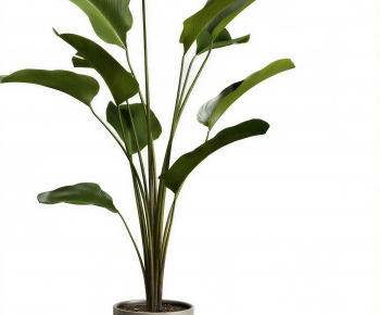 Modern Ground Green Plant Potted Plants-ID:420516972