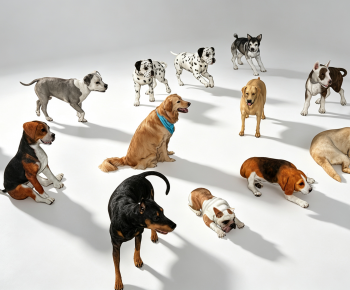 Modern Animal Dog-ID:554016111