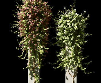 Modern Vine-ID:675726895