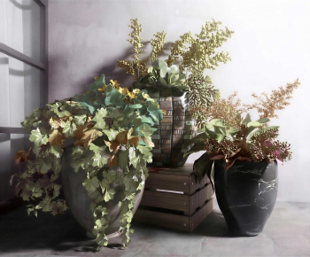 Wabi-sabi Style Ground Green Plant Potted Plants-ID:669753079