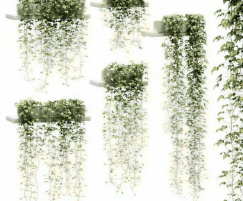 Modern Vine-ID:200069075