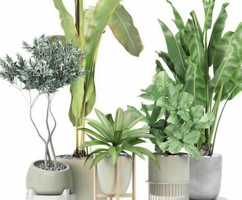 Modern Ground Green Plant Potted Plants-ID:918694973