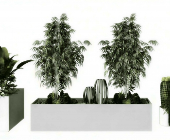 Modern Flower Bed, Flower Bowl, Flower Box-ID:485692983