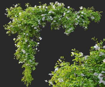 Modern Vine-ID:113759041
