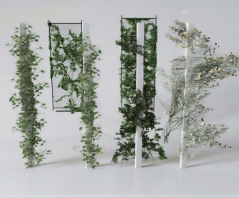 Modern Vine-ID:879561908