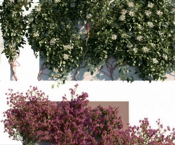 Modern Vine-ID:857531076