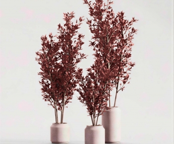 Modern Ground Green Plant Potted Plants-ID:543569097