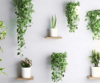 Modern Potted Green Plant-ID:494324928