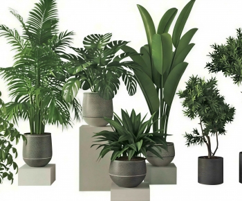 Modern Ground Green Plant Potted Plants-ID:688812023