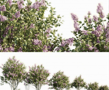 Modern Shrubbery-ID:701003078