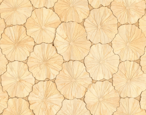 ModernParquet