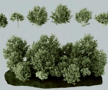 Modern Shrubbery-ID:481811056