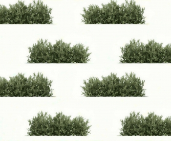 Modern Shrubbery-ID:508012064