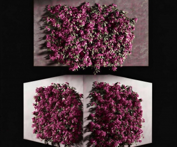 Modern Plant Wall-ID:613646038