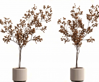 Modern Ground Green Plant Potted Plants-ID:691834936
