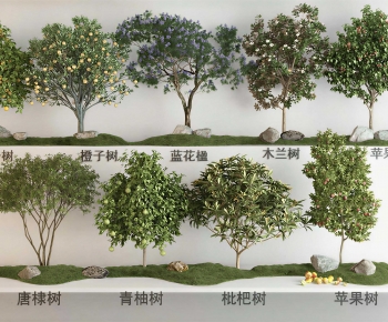 Modern Tree-ID:151976117