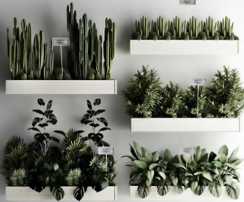 Modern Flower Bed, Flower Bowl, Flower Box-ID:496500026