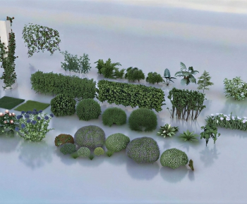 Modern Shrubbery-ID:806729822