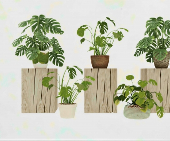 Modern Potted Green Plant-ID:839473012