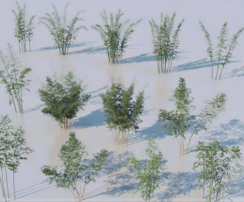 Modern Bamboo-ID:376244072