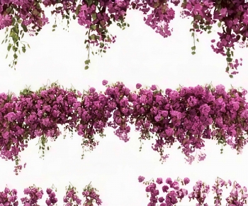 Modern Flowers And Grass-ID:804286966