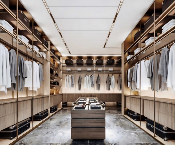 Modern Clothes Storage Area-ID:287720923