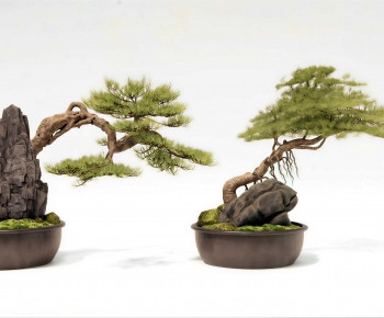 New Chinese Style Bonsai-ID:509007937
