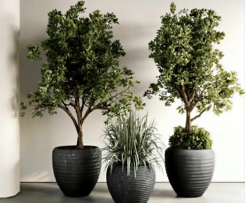 Modern Ground Green Plant Potted Plants-ID:460287098