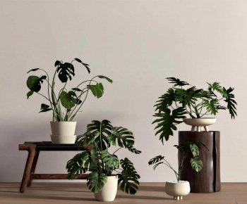 Modern Potted Green Plant-ID:798741103