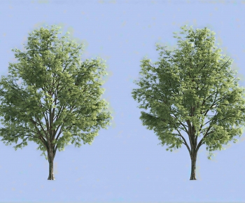Modern Tree-ID:183983095