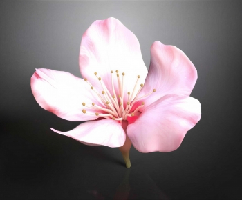 Modern Flowers And Grass-ID:775836949