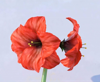 Modern Flowers And Grass-ID:915930036