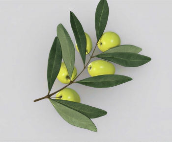 Modern Fruit-ID:305910139