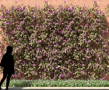 Modern Plant Wall-ID:134356029
