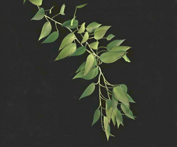 Modern Vine-ID:614147905