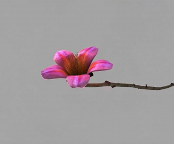Modern Flowers And Grass-ID:361076124