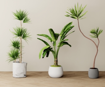 Modern Ground Green Plant Potted Plants-ID:963572038