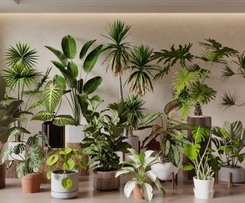 Modern Ground Green Plant Potted Plants-ID:260240086