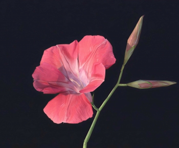 Modern Flowers And Grass-ID:735619194