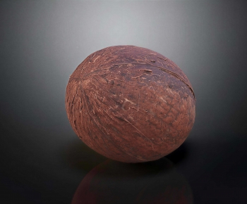 Modern Fruit-ID:486195095