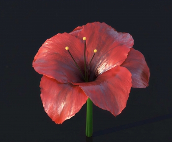 Modern Flowers And Grass-ID:701082945
